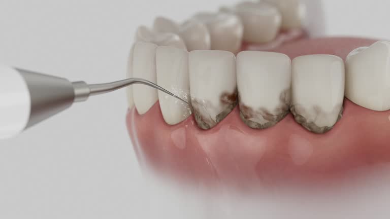 Reliable Dental contractor in Warm Mineral Springs, FL by Dentist Open Now